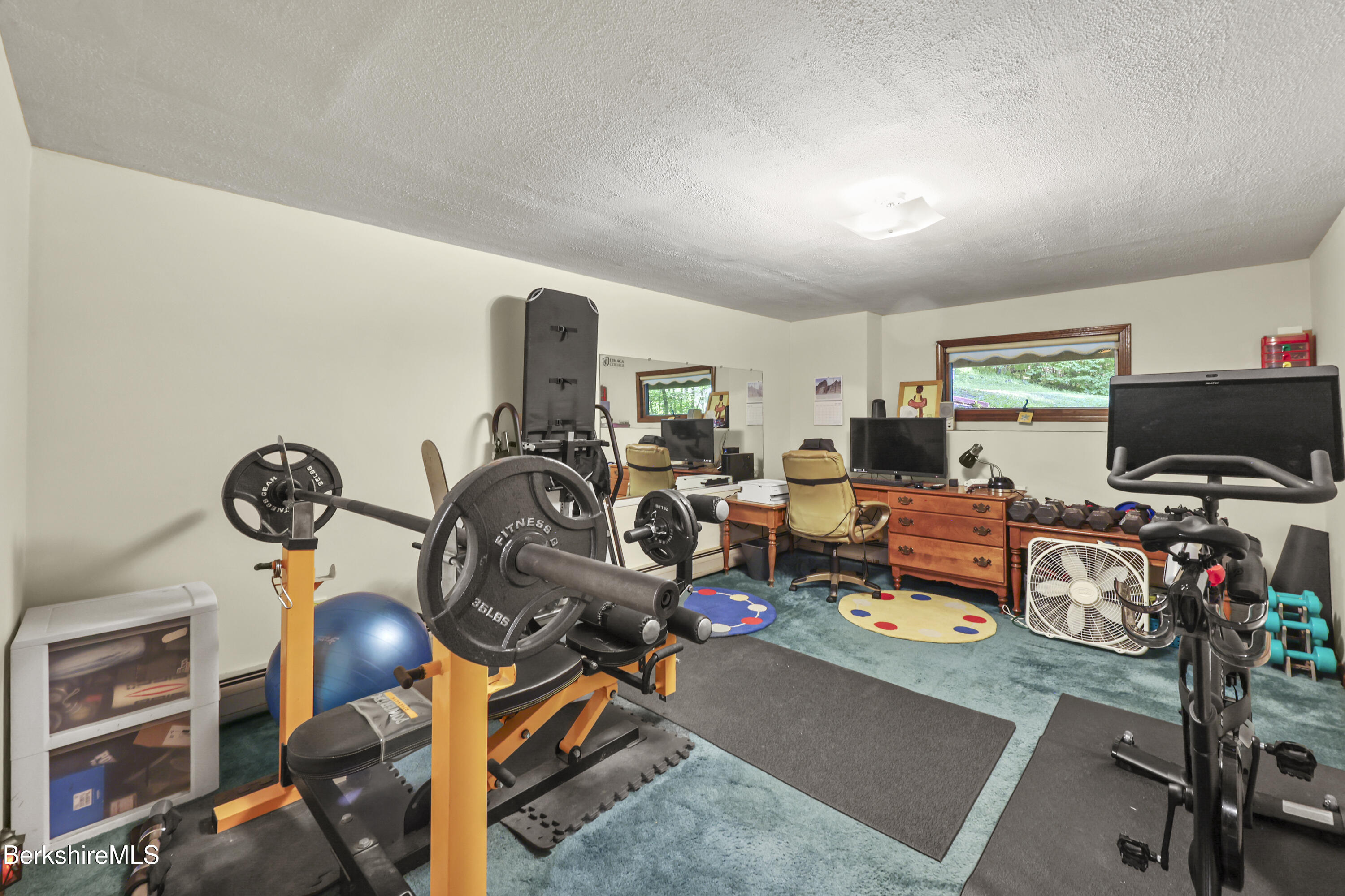 156 Bailey Road Lanesborough, MA 01237 - Photo 32 of 49 Bonus room lower level