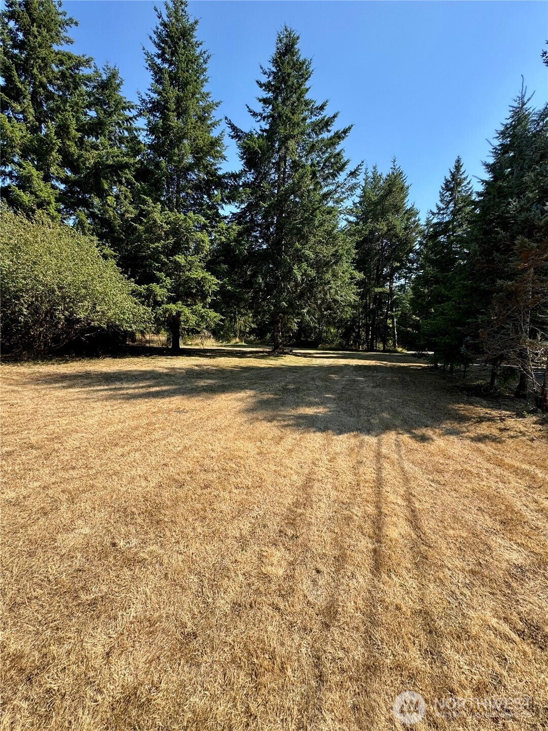 13333 West Cloquallum Road Elma, WA 98541 - Photo 31 of 38 Gallery Image 31