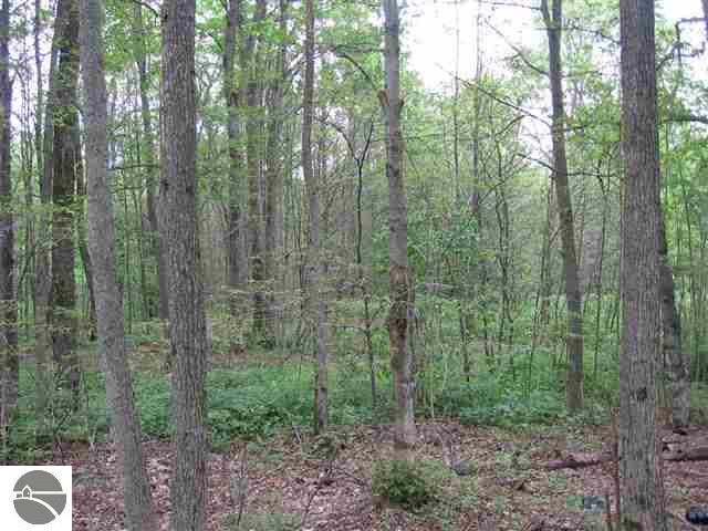 7386 Cunningham Road Northeast Mancelona, MI 49659 - Photo 5 of 14 1717110-4.JPG