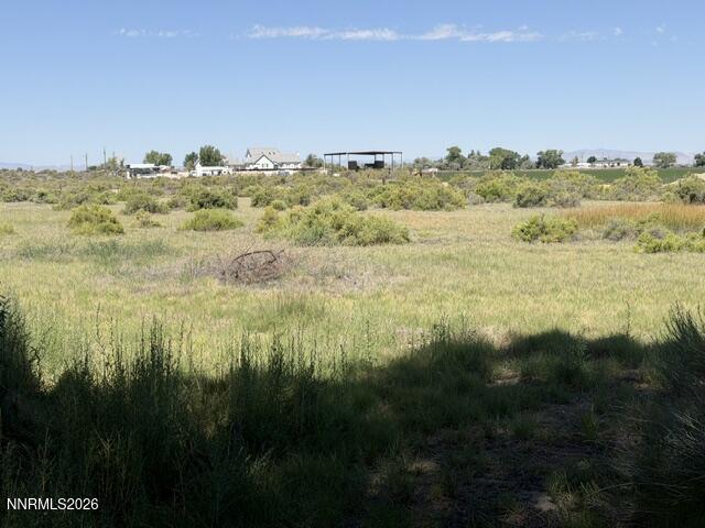 2195 Old River Road Fallon, NV 89406 - Photo 37 of 43 IMG_0211