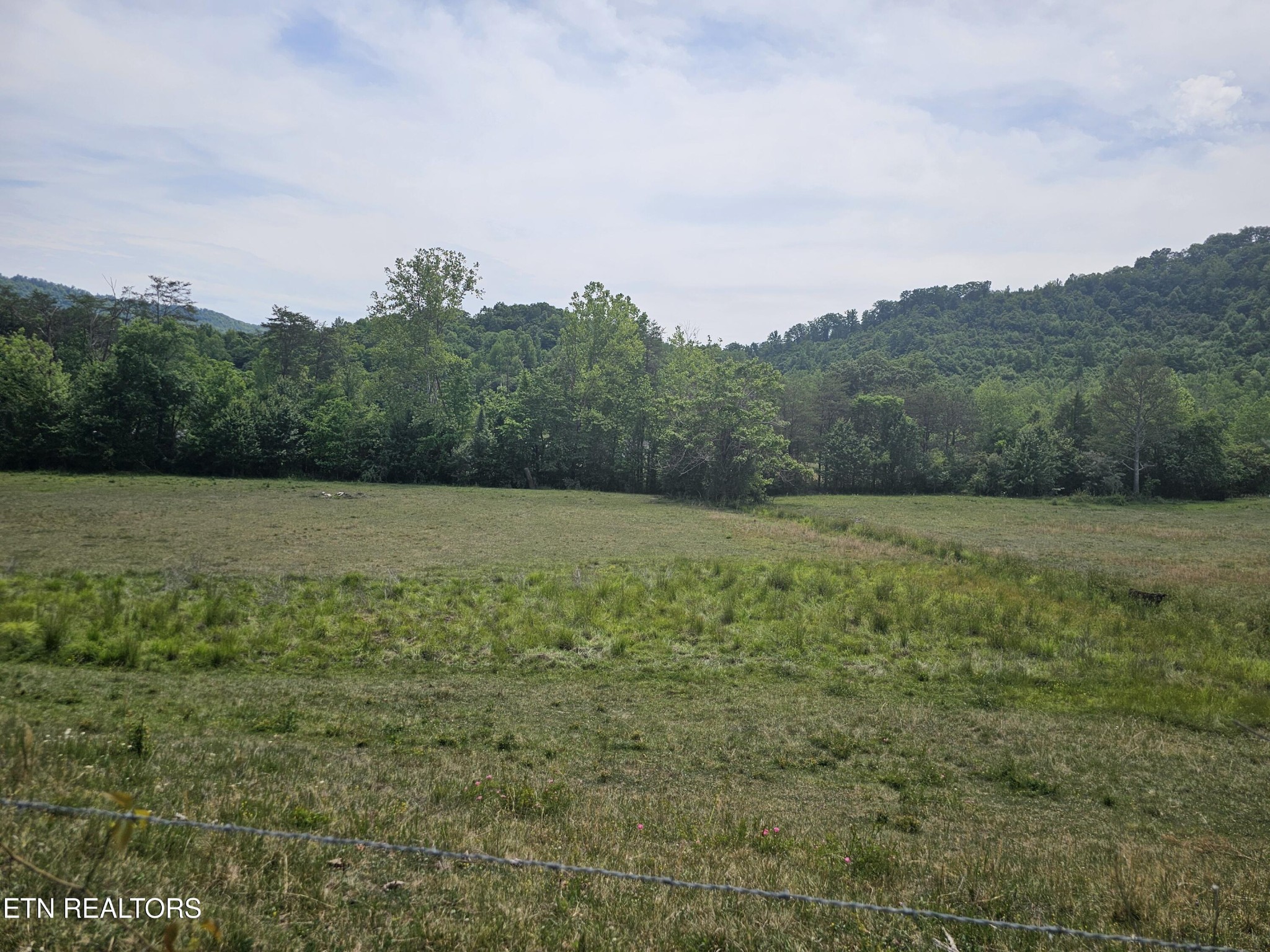 275 Republican Hill Road Newcomb, TN 37819 - Photo 34 of 34 Gallery Image 34