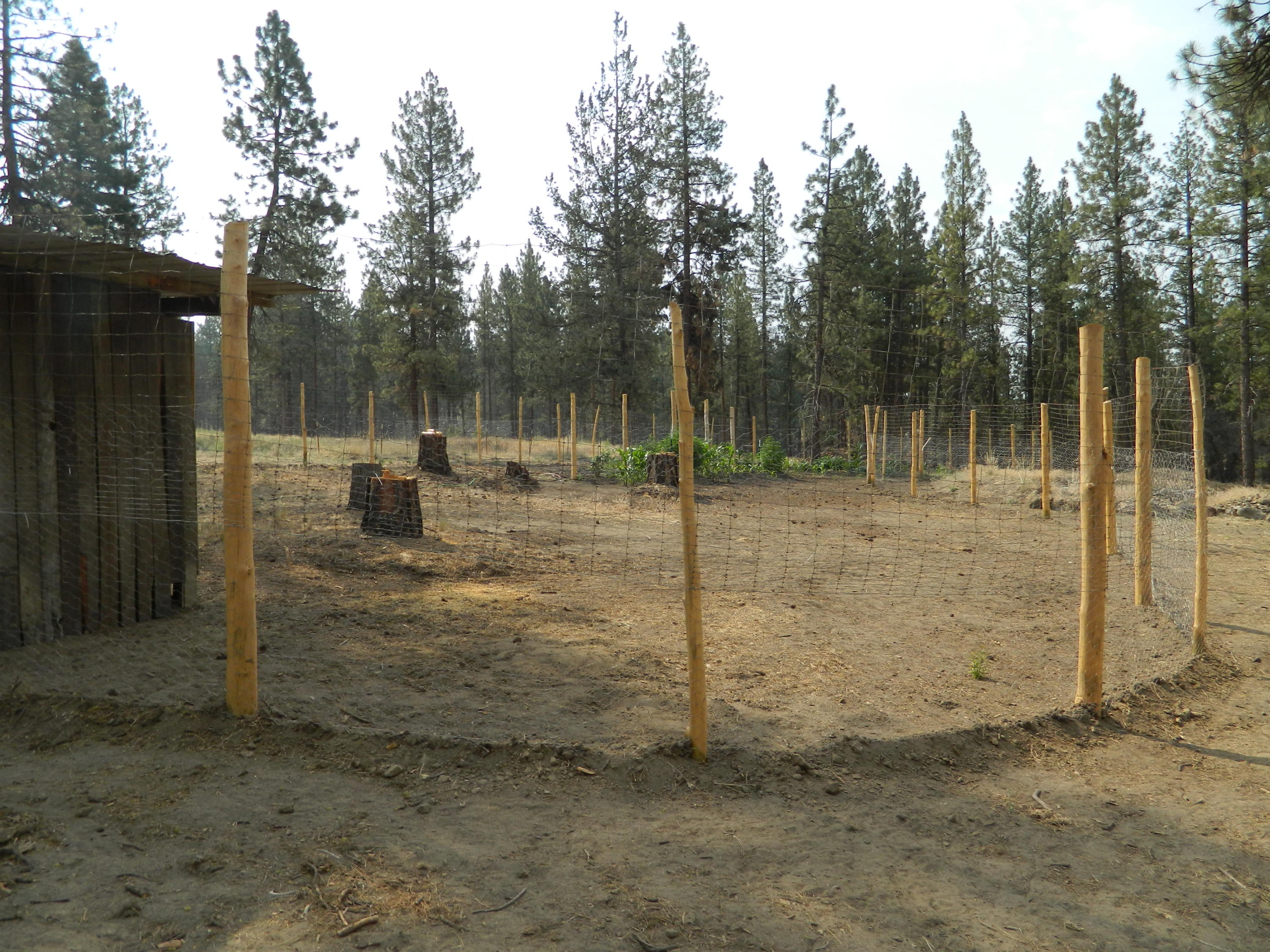 27956 Petersteiner Road Bonanza, OR 97623 - Photo 11 of 25 DSCN0070