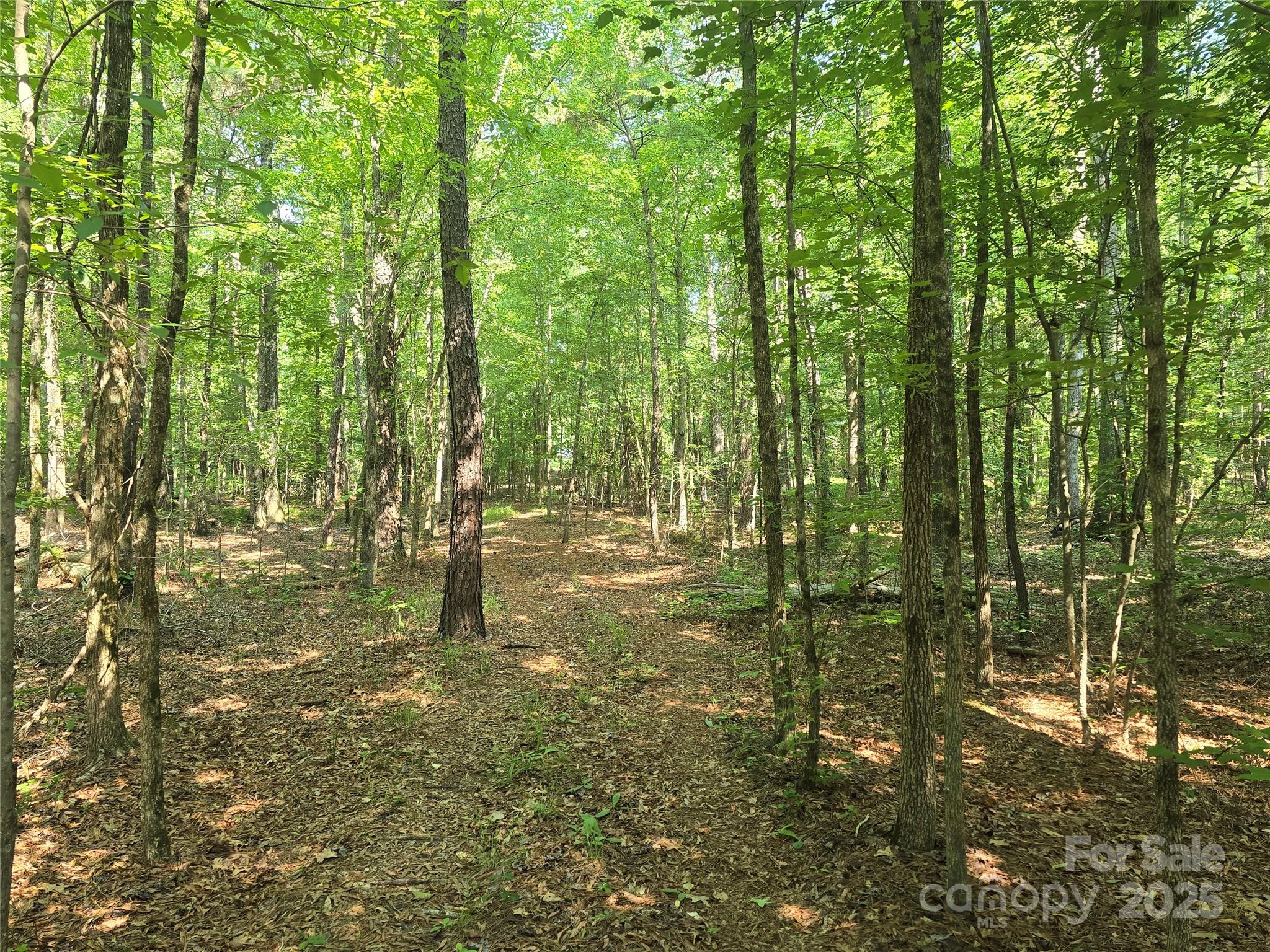 0 Hoke Road Heath Springs, SC 29058 - Photo 5 of 15 a view of outdoor space and trees