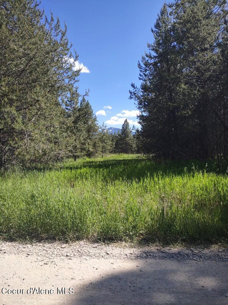 Lot 1 Champs Road Bonners Ferry, ID 83805 - Photo 2 of 9 Wonderful level land