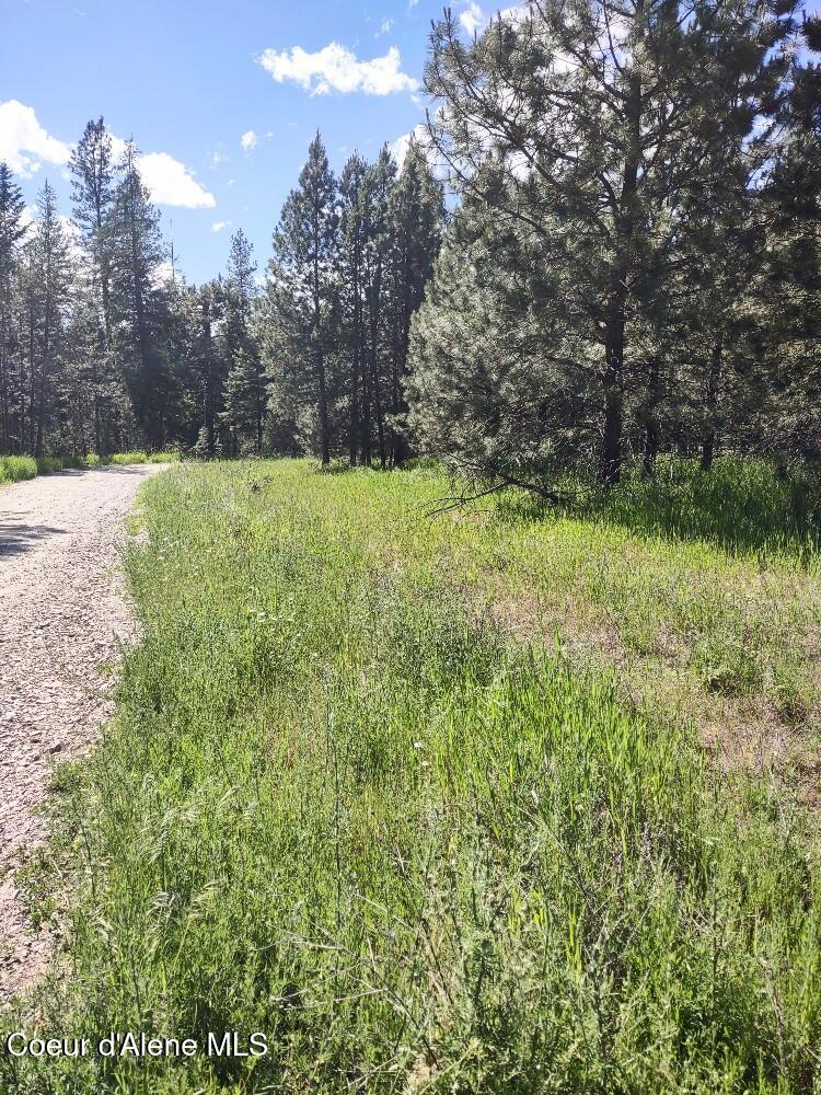 Lot 1 Champs Road Bonners Ferry, ID 83805 - Photo 7 of 9 Choose your building spot!