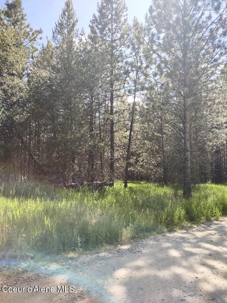 Lot 1 Champs Road Bonners Ferry, ID 83805 - Photo 9 of 9 Lots of wildlife int he area