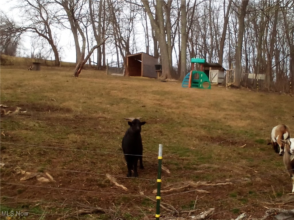77900 Slater Road Cadiz, OH 43907 - Photo 5 of 19 Pasture