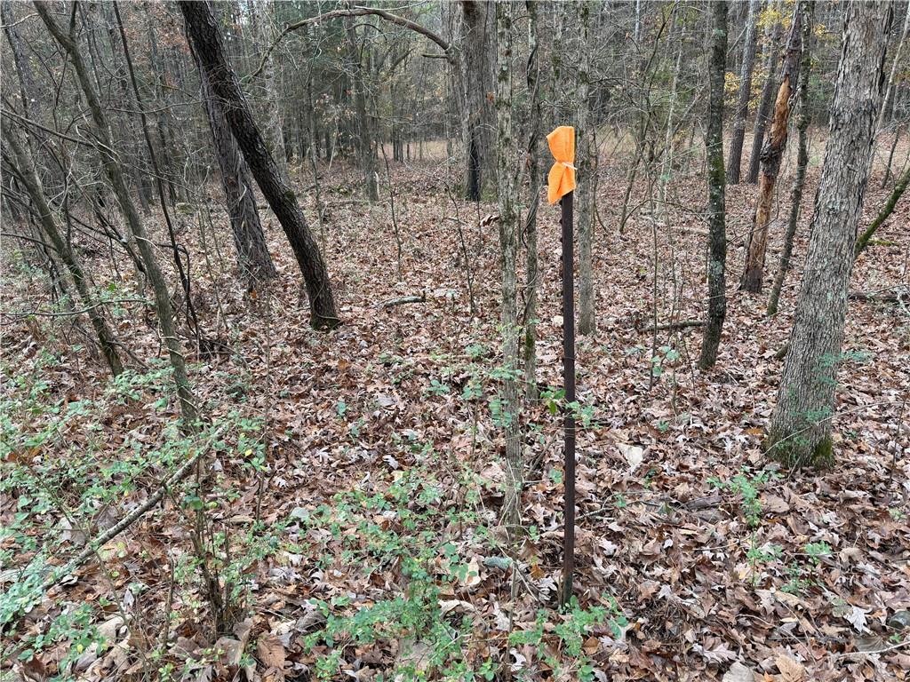 0 Branson Crossing Road Kingston, GA 30145 - Photo 12 of 14