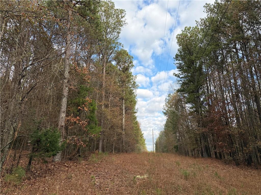 0 Branson Crossing Road Kingston, GA 30145 - Photo 2 of 14 a view of a yard with plants and trees