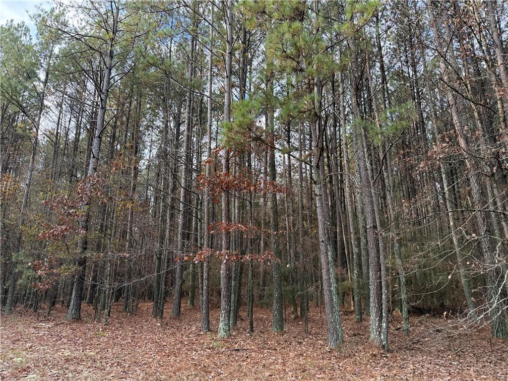 0 Branson Crossing Road Kingston, GA 30145 - Photo 3 of 14 a backyard of a house with lots of plants and entertaining space