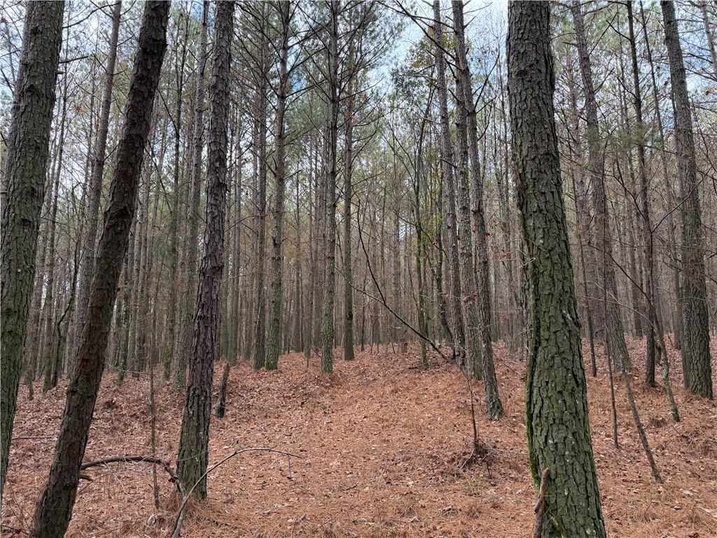 0 Branson Crossing Road Kingston, GA 30145 - Photo 4 of 14 a view of wooden fence