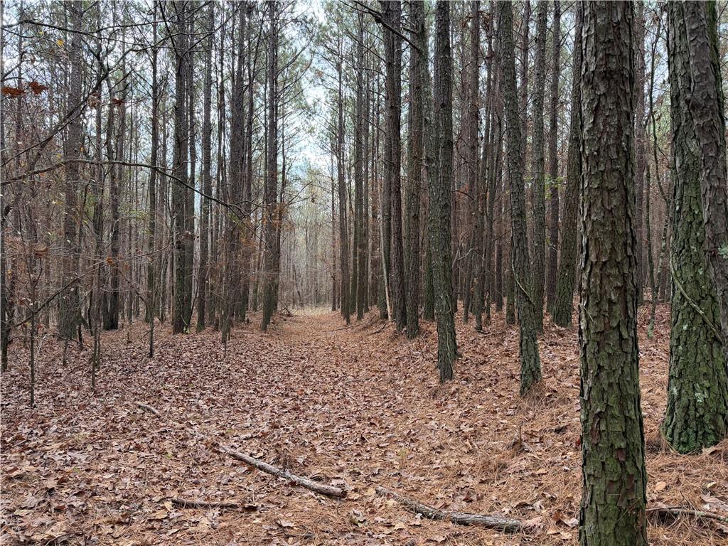 0 Branson Crossing Road Kingston, GA 30145 - Photo 6 of 14 a view of a backyard with trees