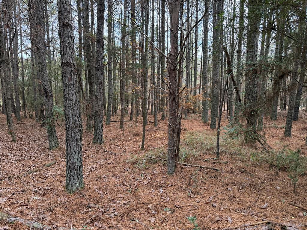 0 Branson Crossing Road Kingston, GA 30145 - Photo 7 of 14 a view of outdoor space with lots of trees