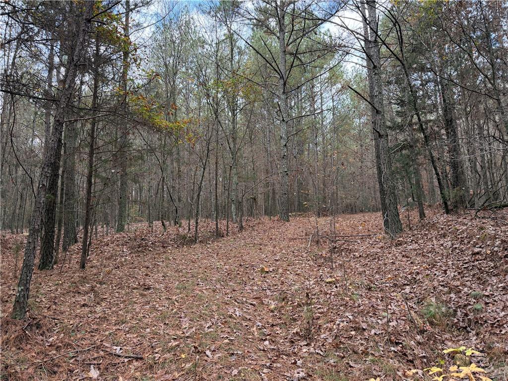 0 Branson Crossing Road Kingston, GA 30145 - Photo 8 of 14 a wooden fence with trees in the background