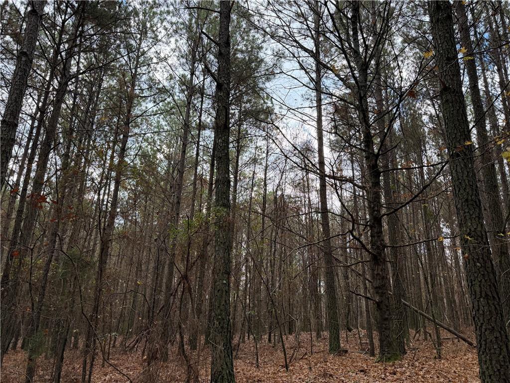 0 Branson Crossing Road Kingston, GA 30145 - Photo 9 of 14 a view of forest