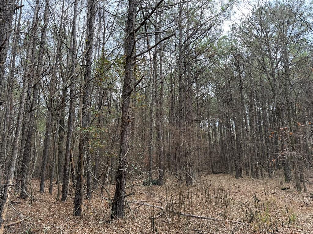 0 Branson Crossing Road Kingston, GA 30145 - Photo 10 of 14 a view of a forest