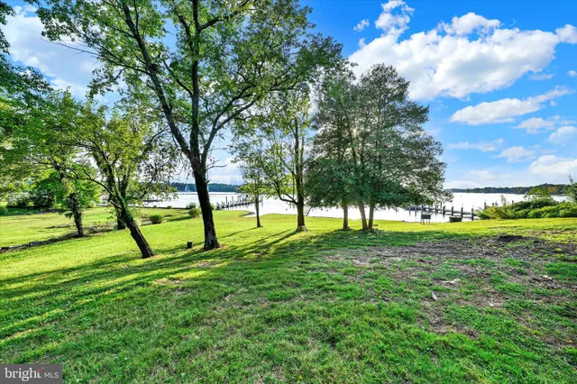 a huge green field with lots of trees