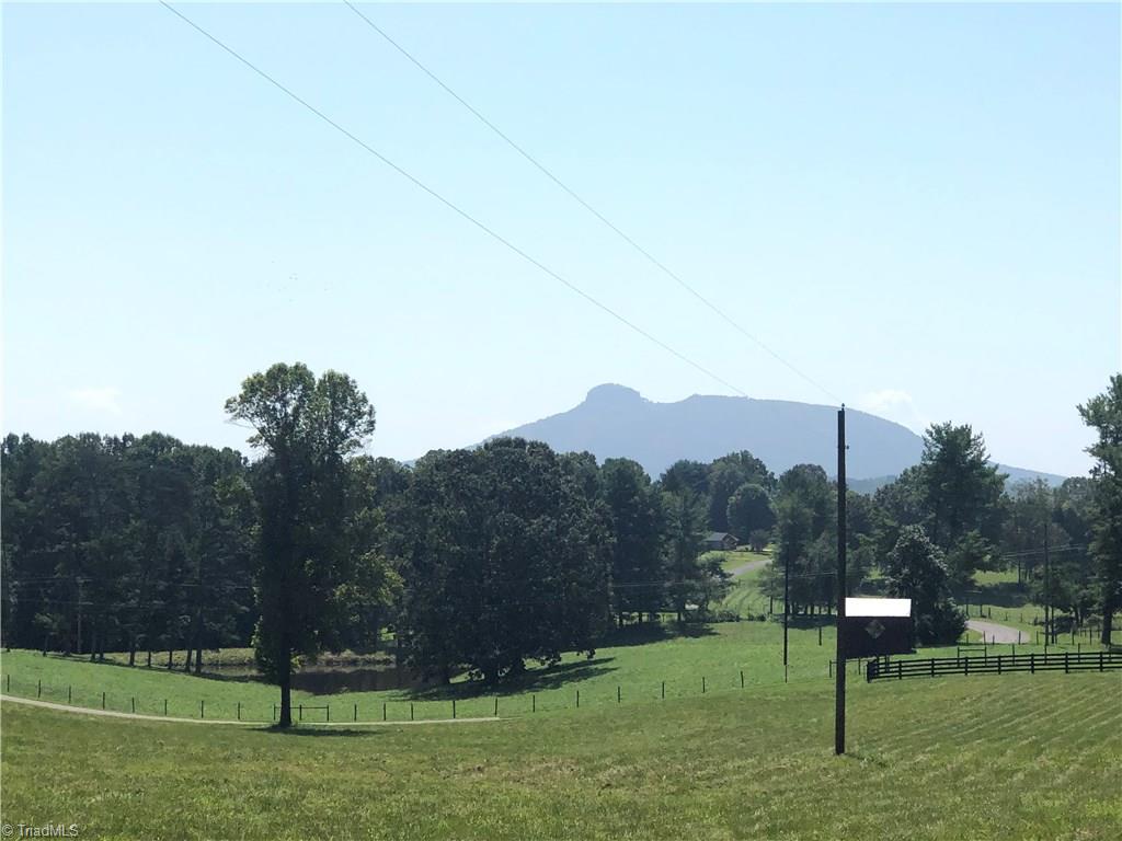 425 Towe Road Pilot Mountain, NC 27041 - Photo 15 of 29 Gallery Image 15
