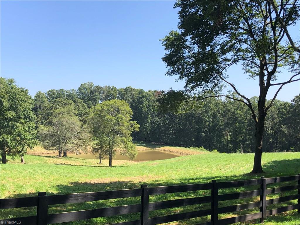 425 Towe Road Pilot Mountain, NC 27041 - Photo 24 of 29 Gallery Image 24
