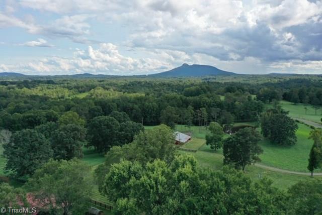 425 Towe Road Pilot Mountain, NC 27041 - Photo 27 of 29 Gallery Image 27