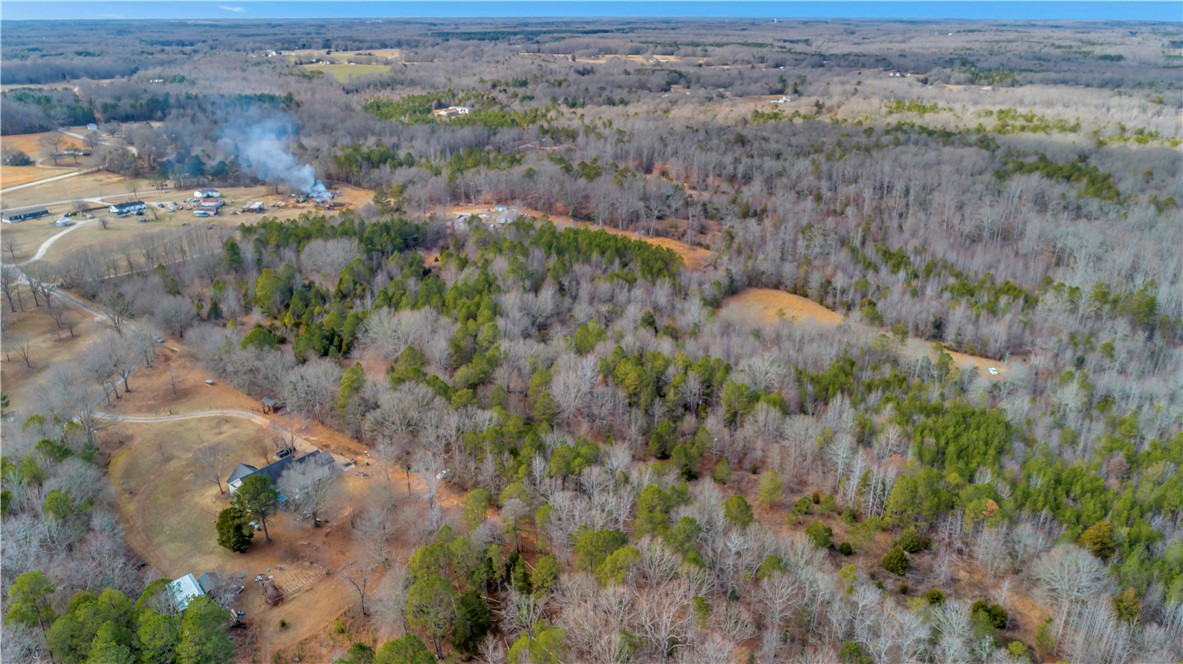 0 Grey Road Pelzer, SC 29669 - Photo 3 of 12