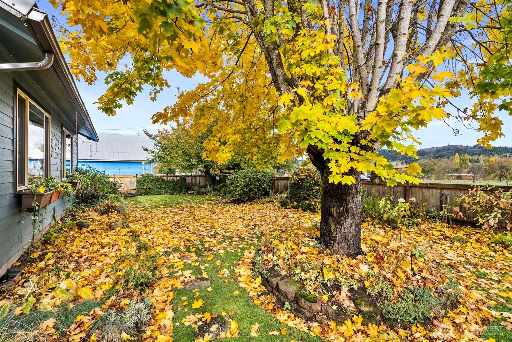 998 SR 6 Raymond, WA 98577 - Photo 37 of 40 a view of a yard with plants and trees