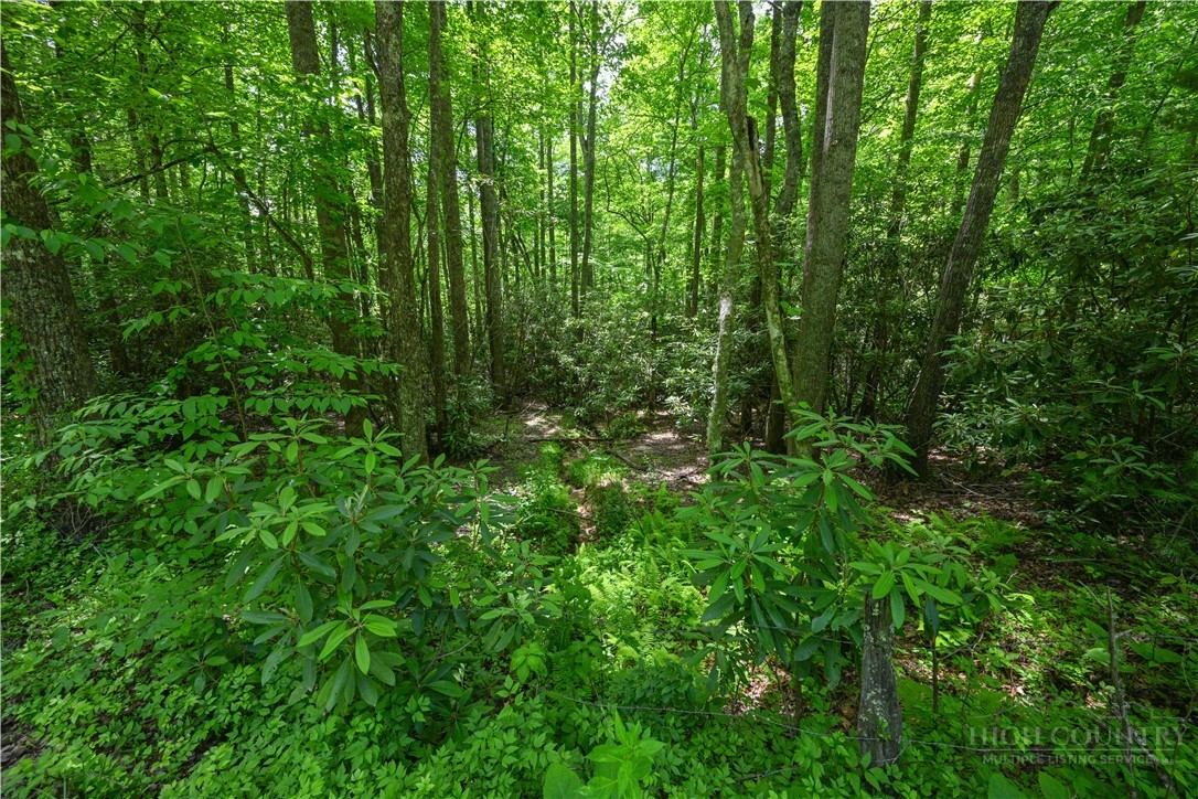 Lot 2 Gusher Knob Road Newland, NC 28657 - Photo 7 of 17