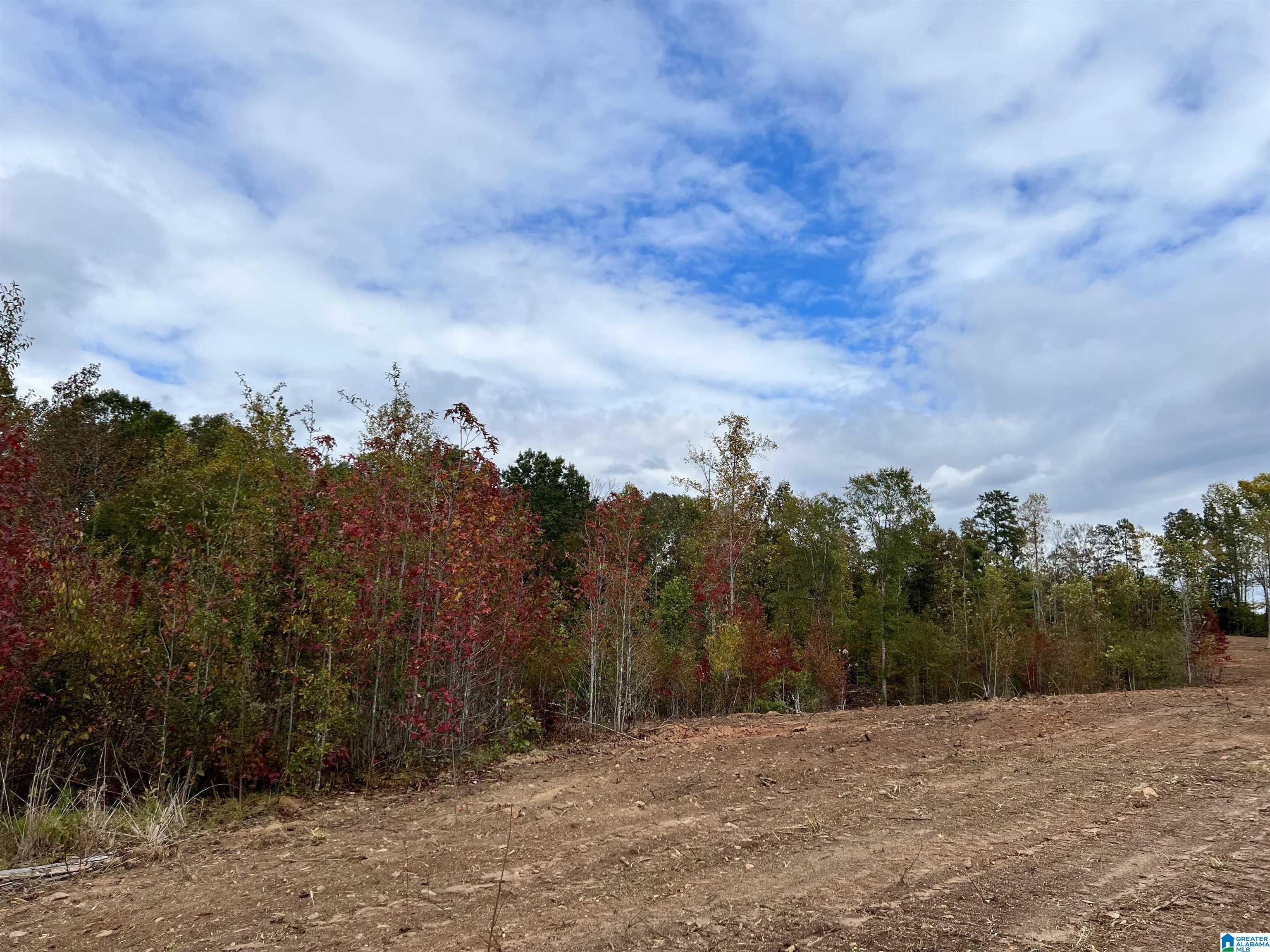 0 County Road 4 Wedowee, AL 36278 - Photo 15 of 24