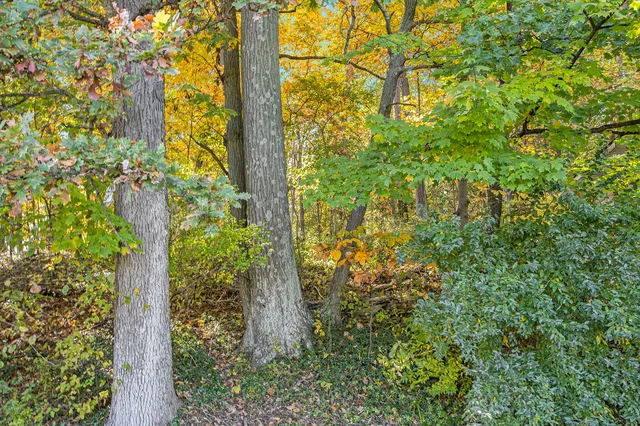 $199,999 | 907 Ridge Court, Chelsea, MI 48118