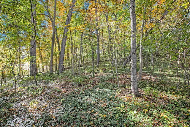 $199,999 | 907 Ridge Court, Chelsea, MI 48118