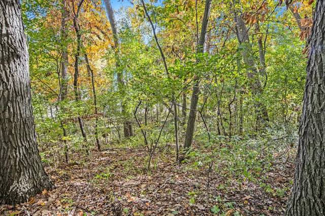 $199,999 | 907 Ridge Court, Chelsea, MI 48118