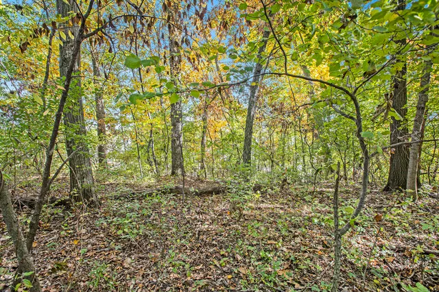 $199,999 | 907 Ridge Court, Chelsea, MI 48118