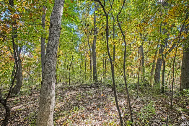 $199,999 | 907 Ridge Court, Chelsea, MI 48118