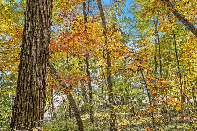 $199,999 | 907 Ridge Court, Chelsea, MI 48118