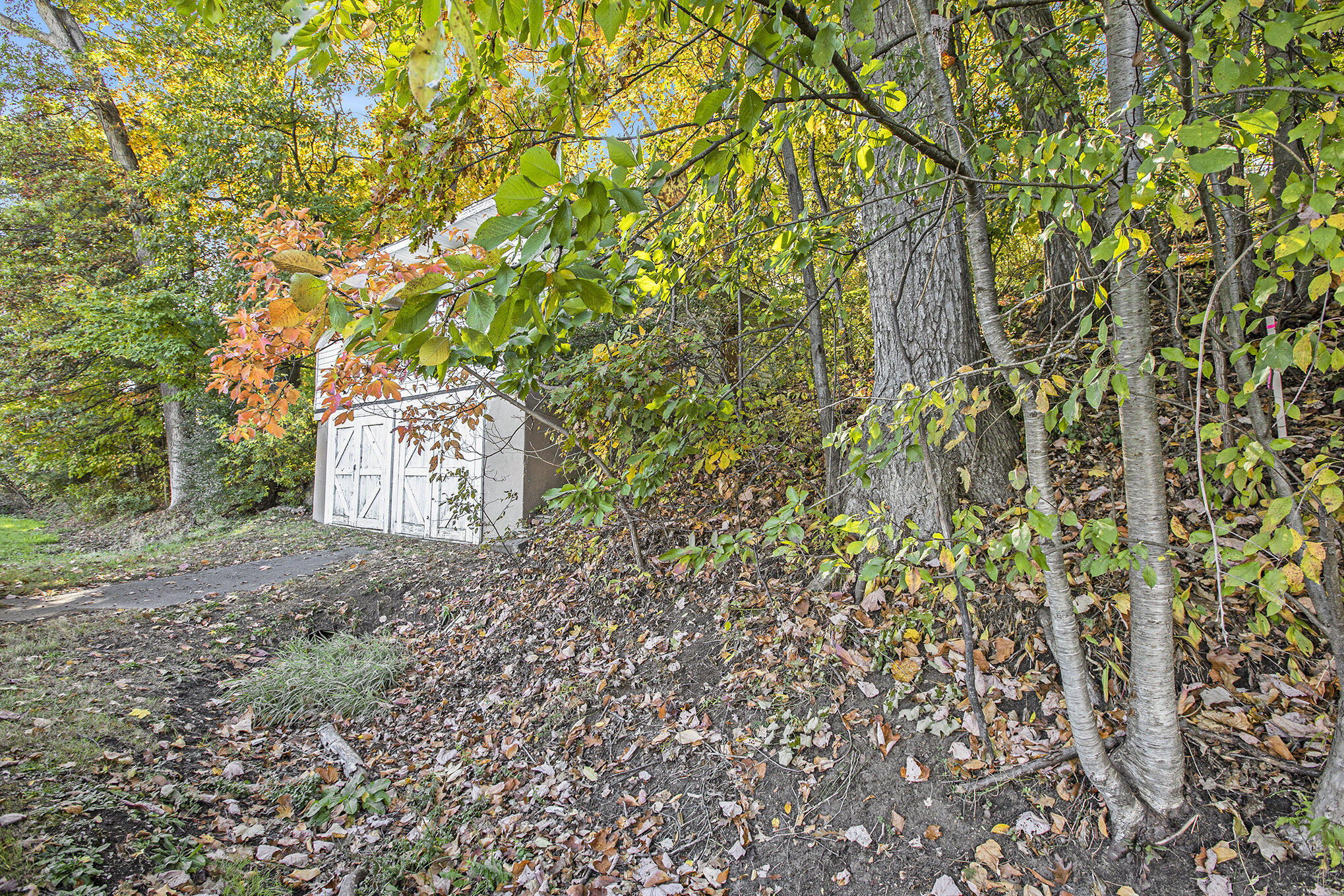 907 Ridge Court Chelsea, MI 48118 - Photo 6 of 21 016__mg_9704_161