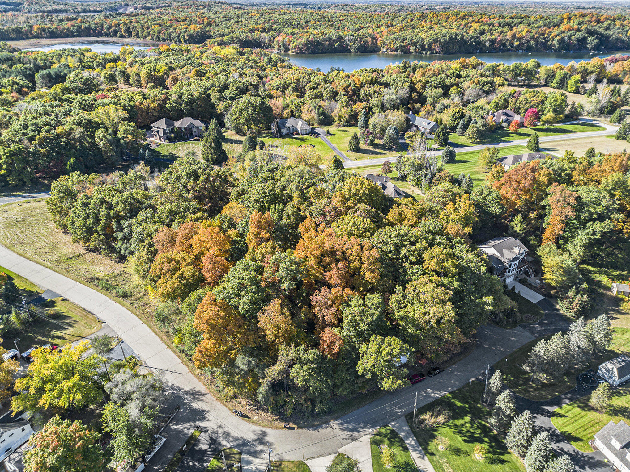 907 Ridge Court Chelsea, MI 48118 - Photo 8 of 21 017_dji_0885_423