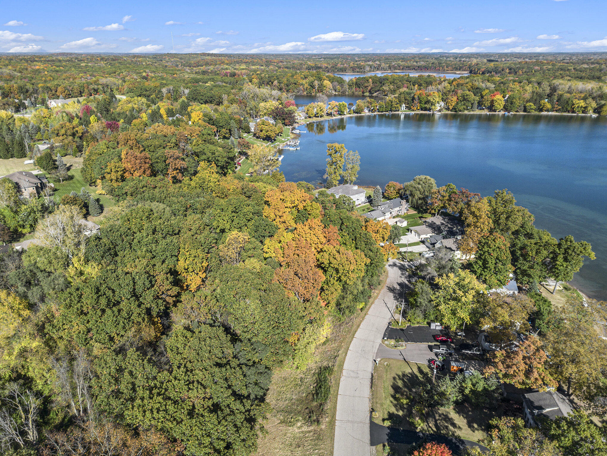 907 Ridge Court Chelsea, MI 48118 - Photo 10 of 21 019_dji_0892_466