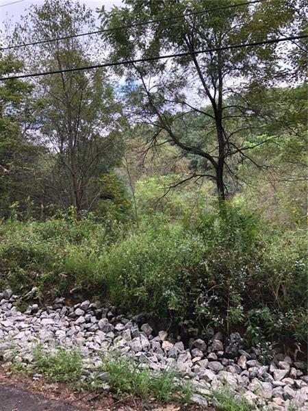 Lot 6 Goldscheitter Road Sarver, PA 16055 - Photo 3 of 5