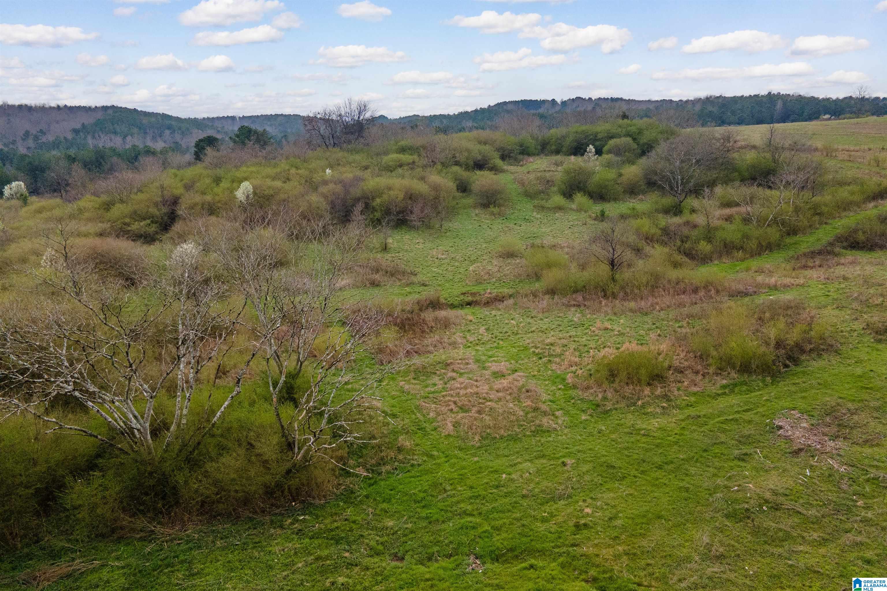 700 Sardis Road Gardendale, AL 35071 - Photo 16 of 16