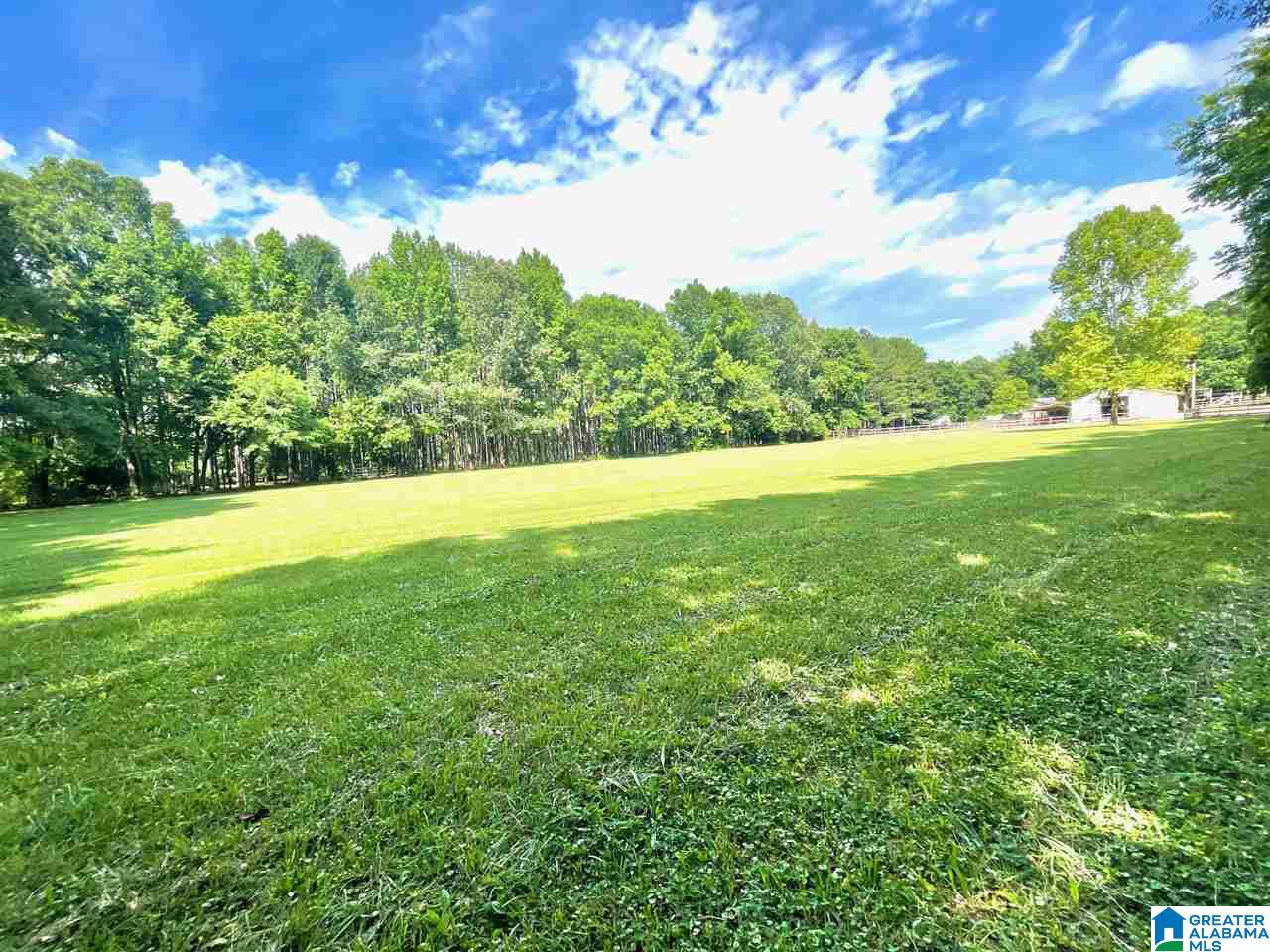 5096 Pleasant Hill Road Bessemer, AL 35022 - Photo 39 of 48