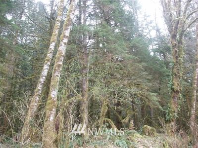 4 Index-Galena Road Index, WA 98256 - Photo 1 of 1 Gallery Image 1