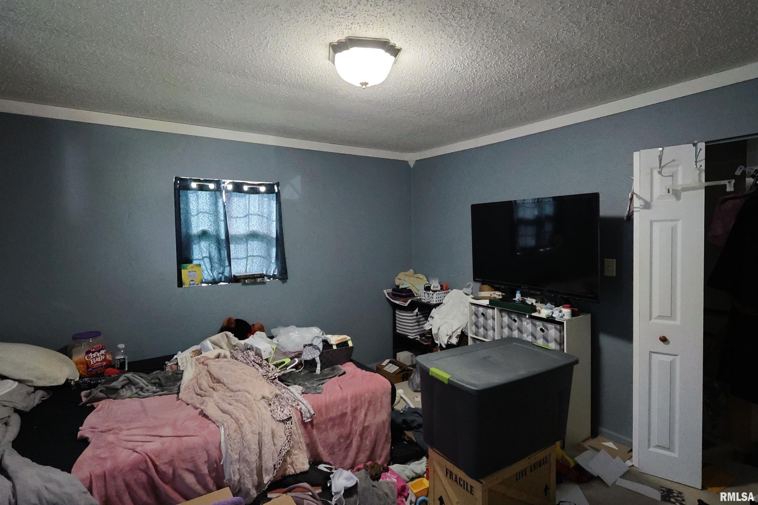 290 West 3rd Street Bonnie, IL 62816 - Photo 14 of 28