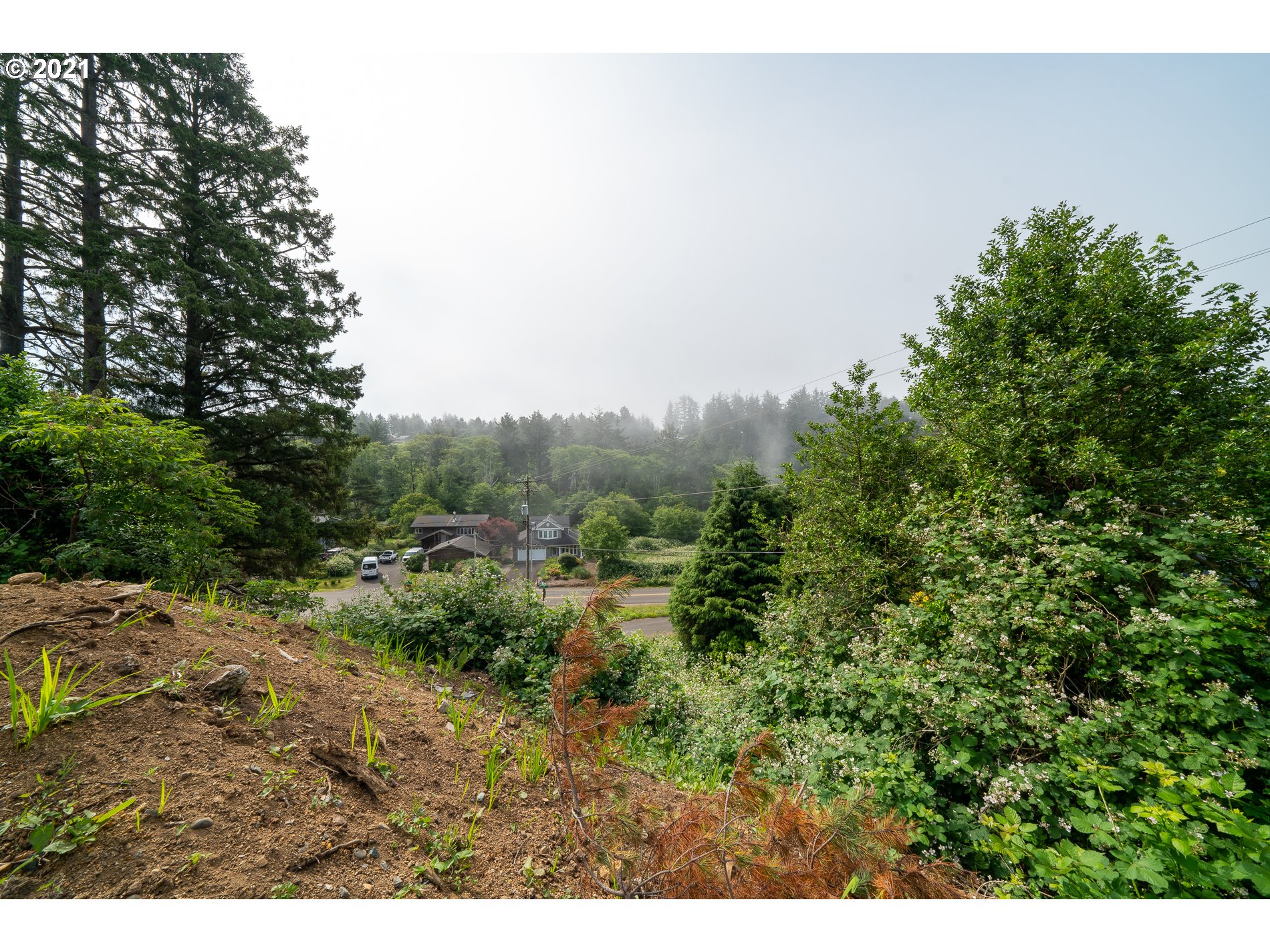 37175 Indian Gap Road Nehalem, OR 97131 - Photo 12 of 20