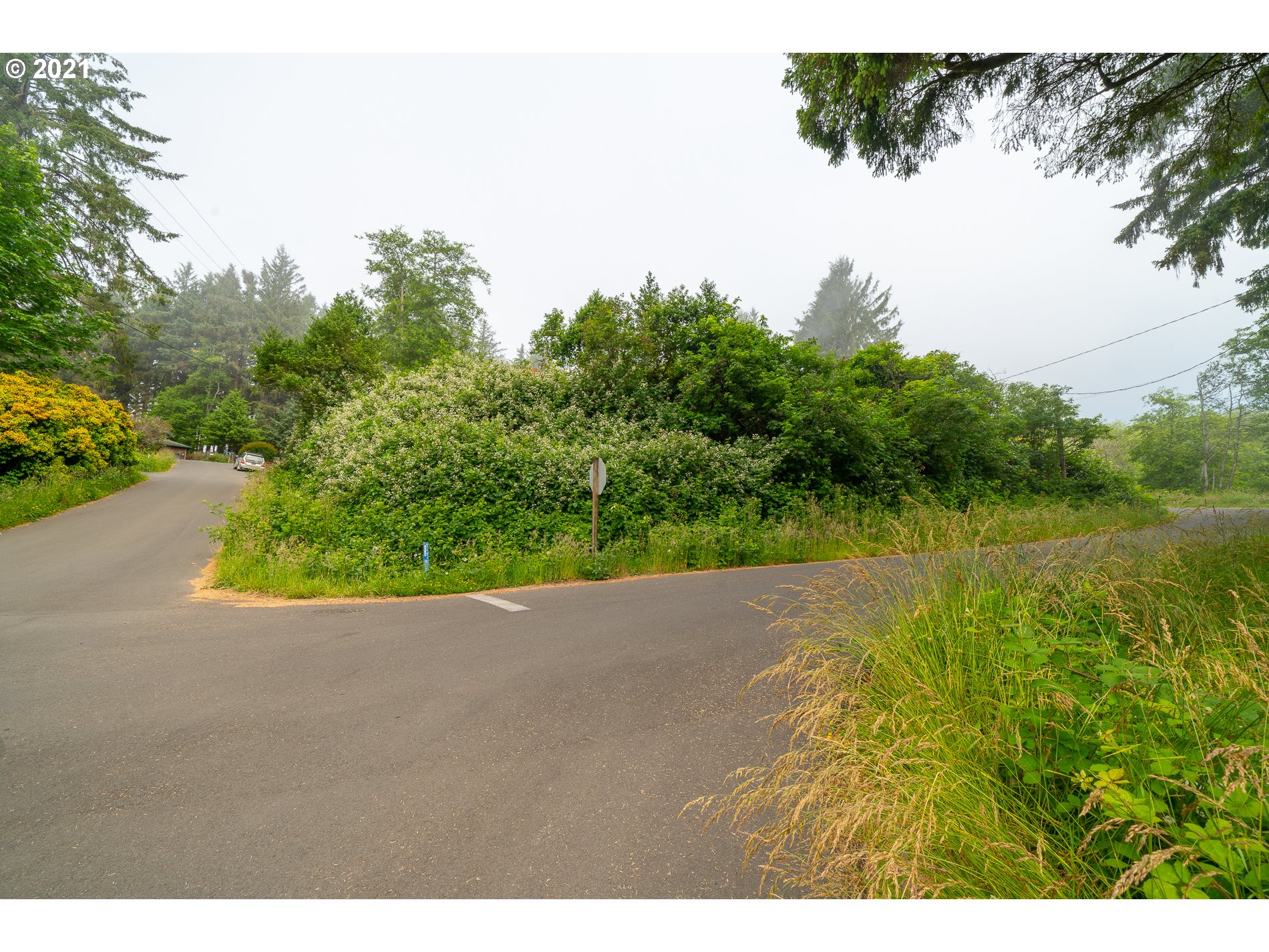 37175 Indian Gap Road Nehalem, OR 97131 - Photo 16 of 20