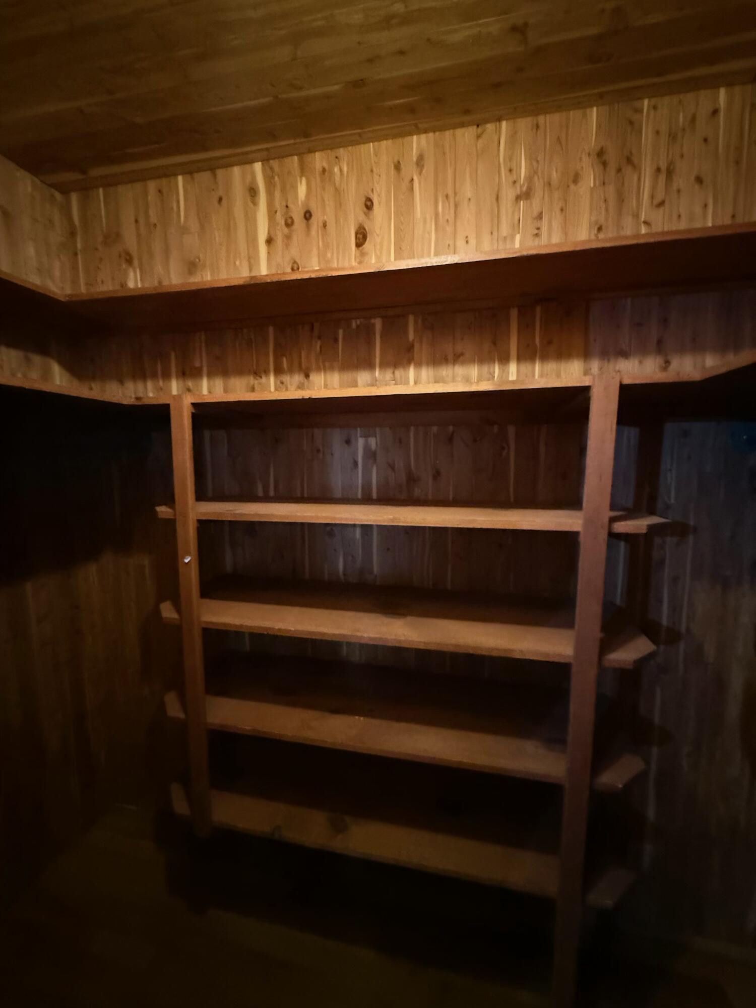 2323 20th Street Lubbock, TX 79411 - Photo 44 of 91 a view of walk in closet