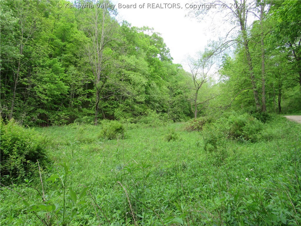 0 2nd Creek Road Kenna, WV 25248 - Photo 28 of 47 Gallery Image 28