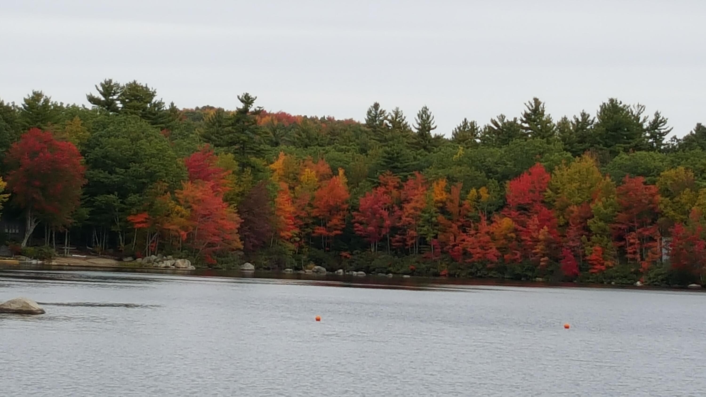 165 Shore Road Lyman, ME 04002 - Photo 6 of 65 ken29