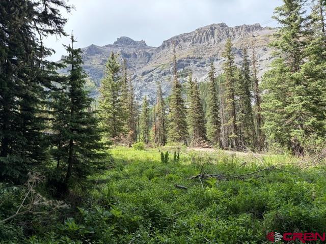 10.33-ac 10.33-ac Imogene Road Ridgway, CO 81432 - Photo 11 of 22