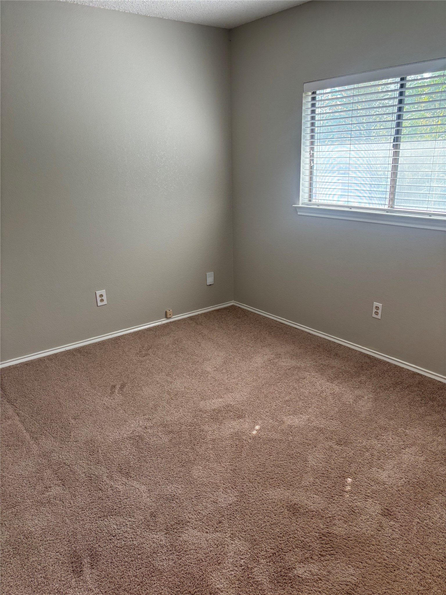 12915 Modena Trail Austin, TX 78729 - Photo 16 of 19 A window welcomes natural light into this bedroom featuring plush carpeting and clean walls.