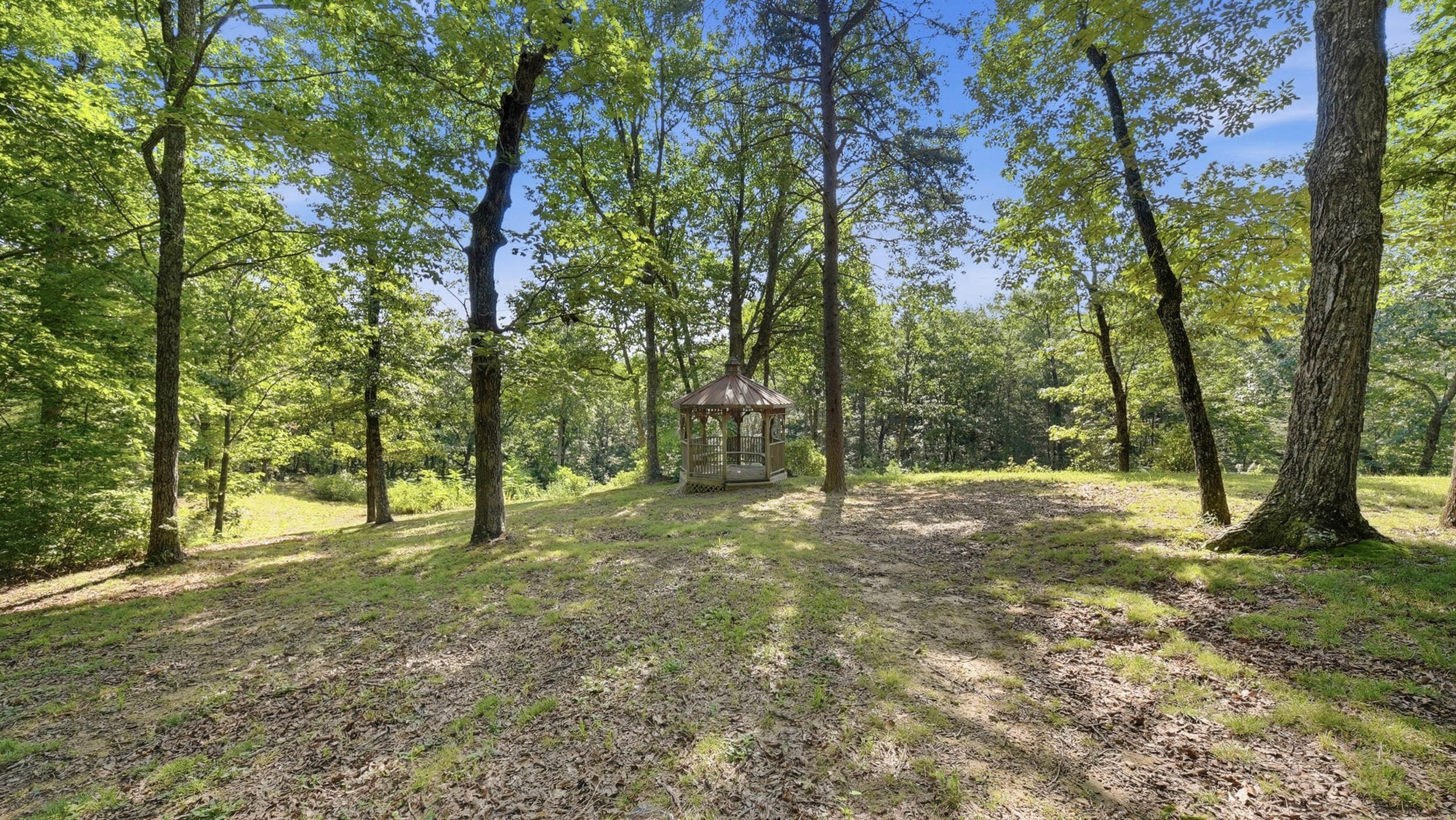 0 Timber View Road, Unit LOT 20 Pikeville, TN 37367 - Photo 5 of 18 Cumberland Overlook 4